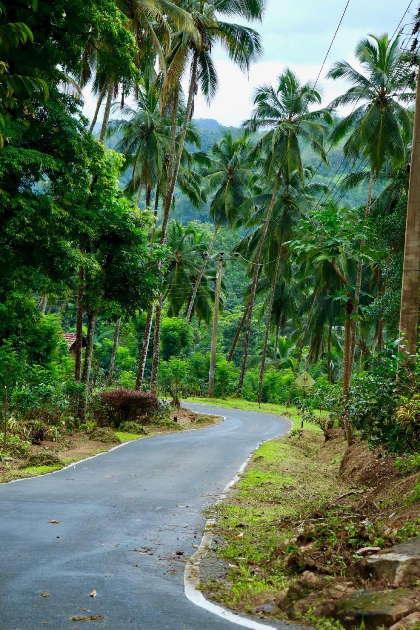 Paradise Eco Garden Kitulgala Exterior photo