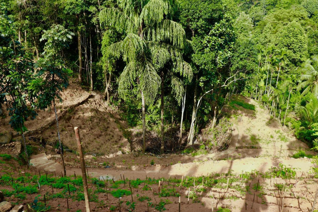 Paradise Eco Garden Kitulgala Exterior photo