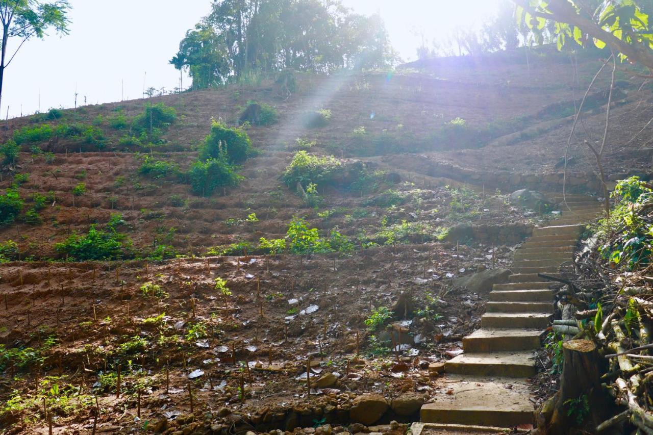 Paradise Eco Garden Kitulgala Exterior photo